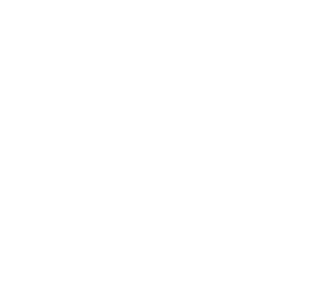 Torchlight II